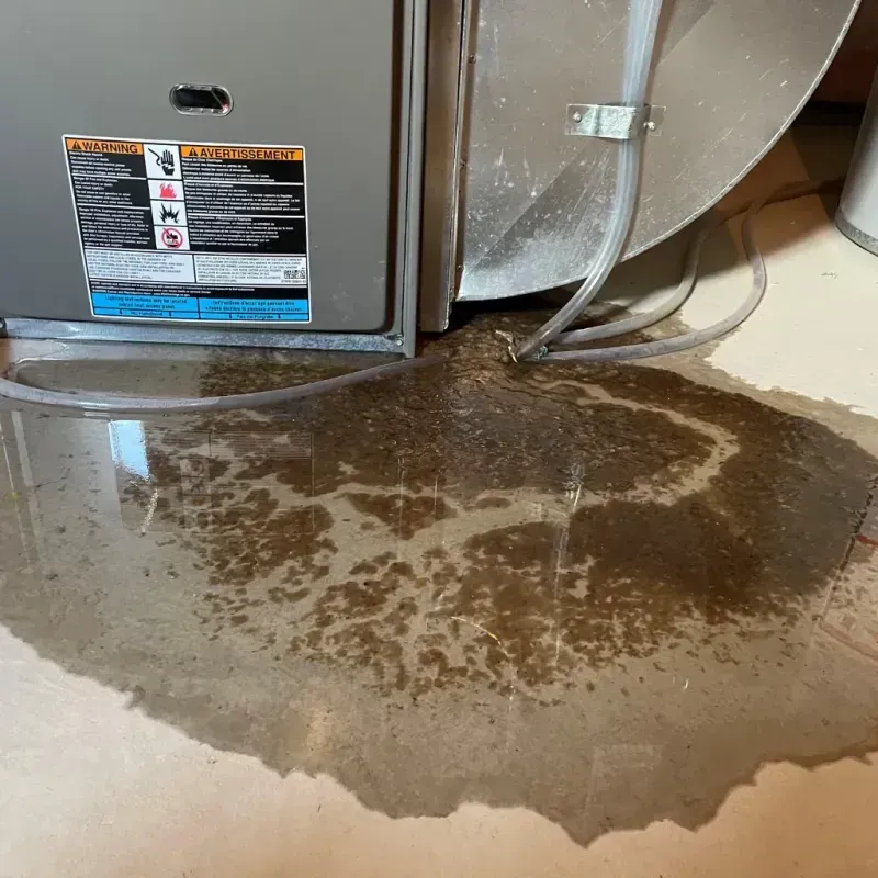 Appliance Leak Cleanup in Newland, NC